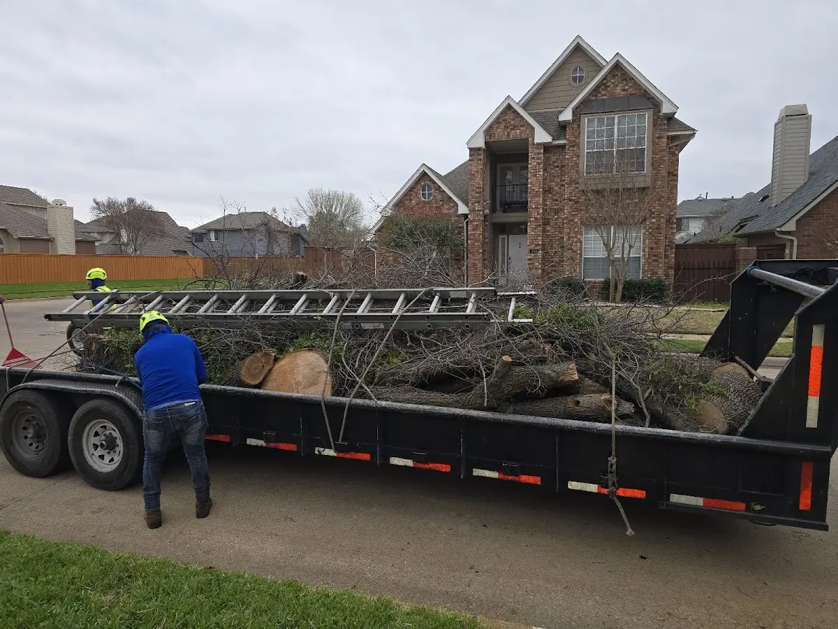 Expert Tree Removal with proper safety equipment in Worthington Springs
